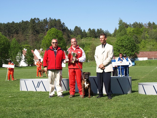 www.atibox.net * www.euroboxer.eu * www.boxergenealogia.eu